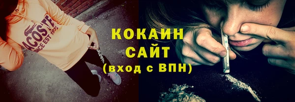 гашик Дмитриев