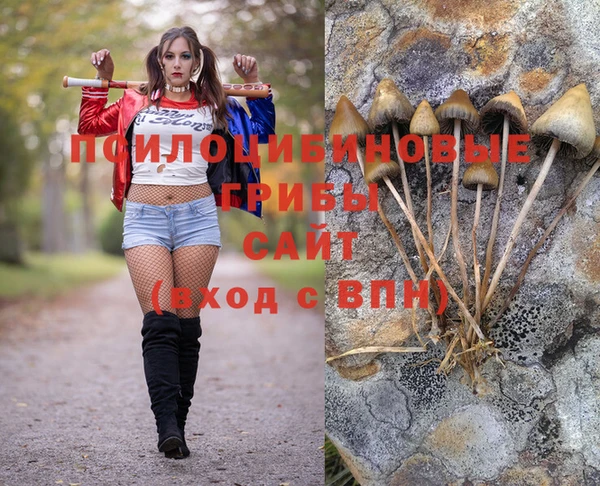 ALPHA-PVP Дмитров