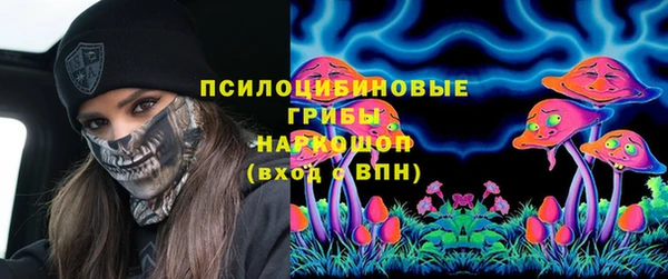 гашик Дмитриев