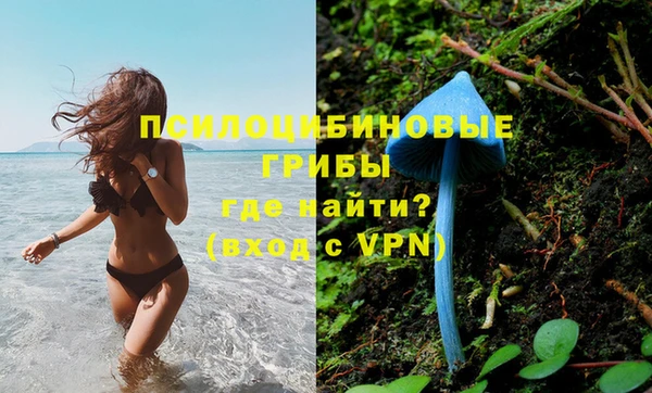 гашик Дмитриев