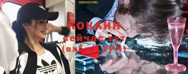 гашик Дмитриев