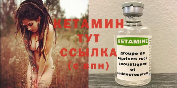 гашик Дмитриев