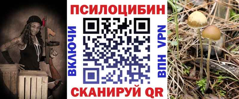Галлюциногенные грибы Cubensis  Зеленодольск 