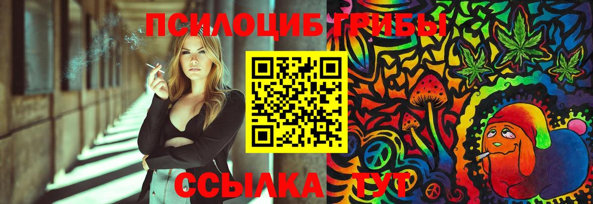 Псилоцибиновые грибы Psilocybine cubensis Зеленодольск