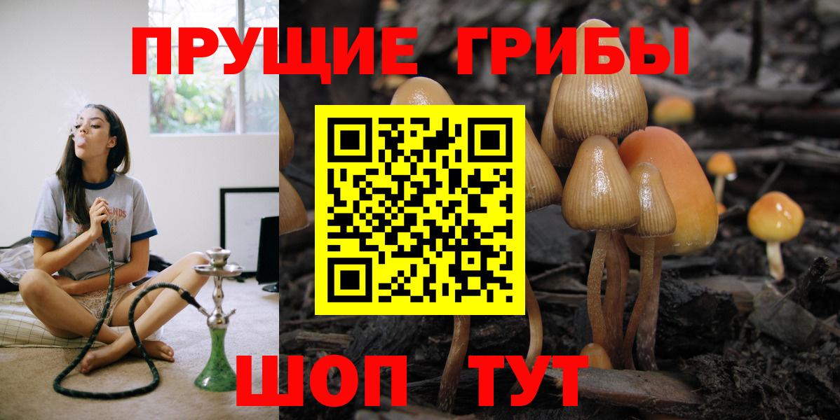 Зеленодольск  хочу   Галлюциногенные грибы Psilocybe  Вход с VPN  Псилоцибиновые грибы Cubensis 